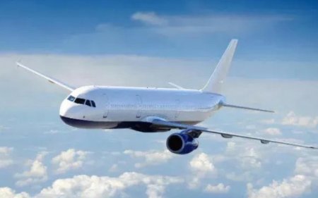 Gürcüstan uçuşları ləğv etdi