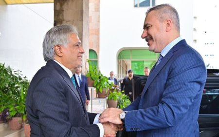 Hakan Fidan Pakistana getdi