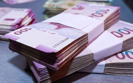 Dövlət büdcəsindən 224,2 milyon manat geri qaytarılıb