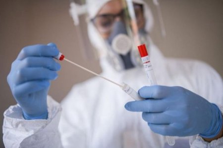 Azərbaycanda son sutkada koronavirusa yoluxanların sayı