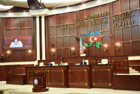 Milli Məclis 17 məsələyə görə