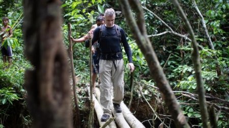 "The Guardian"ın reportyoru Amazon meşəsində itkin düşdü