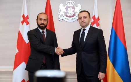 Qaribaşvili Ararat Mirzoyanlada görüşdü
