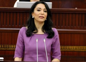 Ombudsman Ermənistanın son təxribatı ilə əlaqədar bəyanat yayıb