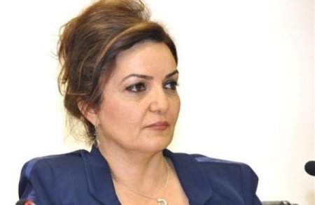 Azərbaycan özünümüdafiə hüququndan istifadə edir - Aygün Attar