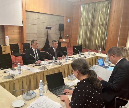 Ombudsmanın nümayəndələri Avropa  Şurasının  İnsan Alverinə Qarşı Mübarizə üzrə Ekspertlər Qrupunun (GRETA) üzvləri ilə görüşüblər