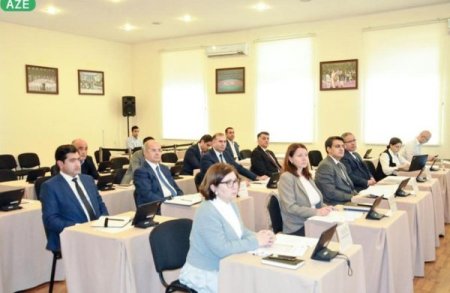 Daha 3 idman federasiyası ləğv edildi