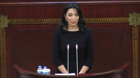 Ombudsmanın parlamentdə hesabat məruzəsi MƏTN