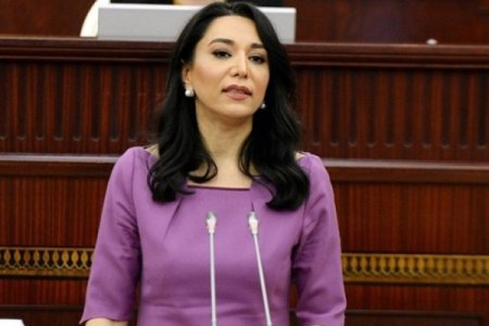 Ermənistan silahlı qüvvələrinin növbəti təxribatı ilə bağlı Ombudsmanın REAKSİYASI