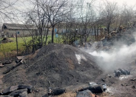 Həyətyanı sahələrdə 5 kömür quyusu aşkarlandı