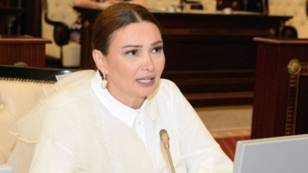 Maaşlarımızın bir hissəsini YAŞAT Fonduna köçürək - Deputatdan təklif