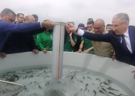 Ağdamda Xaçınçay su anbarına balıq körpələri buraxıldı
