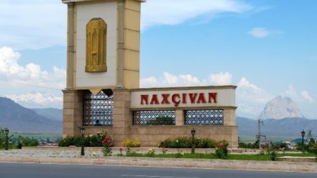 Palatanın Naxçıvan İdarəsinin apardığı yoxlamaların nəticələri açıqlanıb