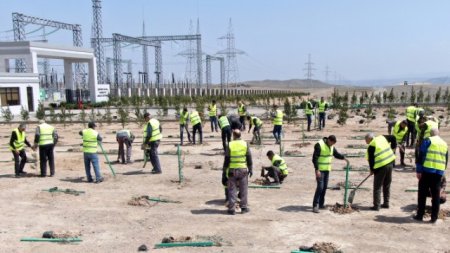“AzərEnerji”dən Cəbrayılla bağlı maraqlı layihə