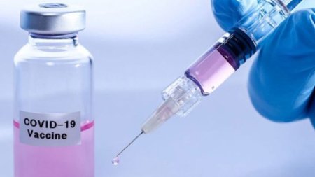 Son sutkada neçə nəfər peyvənd olunub?