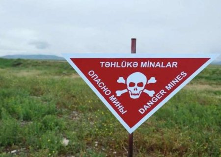 Müharibədən sonra mina qurbanlarının sayı 291-ə çatıb