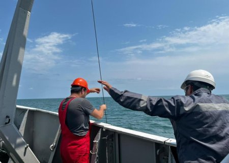 Xəzər dənizində ekoloji monitorinqlər başa çatıb