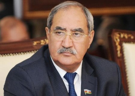 "Həmkarımız dövlətin həyata keçirdiyi fundamental məsələlərə şübhə toxumu səpməyə çalışdı" - Deputat