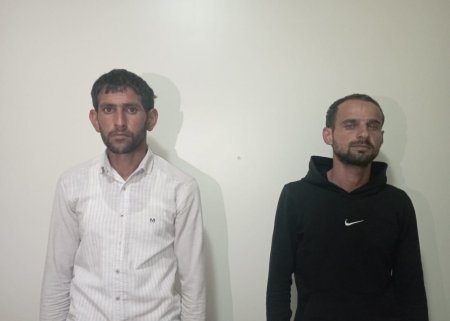 Narkotik tərkibli bitkilərin kultivasiyası ilə məşğul olan iki nəfər tutuldu