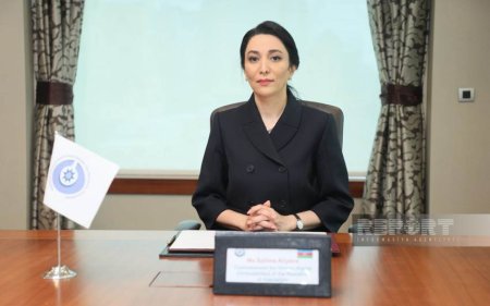"Əsir götürülən hərbçilərimiz dərhal azad edilməlidir" - Ombudsman