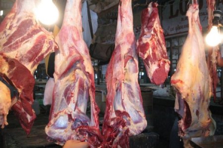 11 heyvan kəsimi və ət satışı məntəqəsində nöqsanlar aşkarlandı