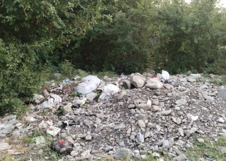 Şəkidə bələdiyyə sədri cəzalandırıldı