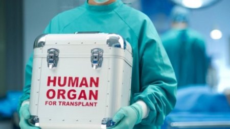 Qaraciyər, böyrək və sümük iliyi transplantasiyası tibbi sığortayla olacaq