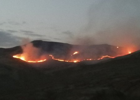 Siyəzəndə dağlıq ərazidə baş vermiş yanğın qəsdən törədilib