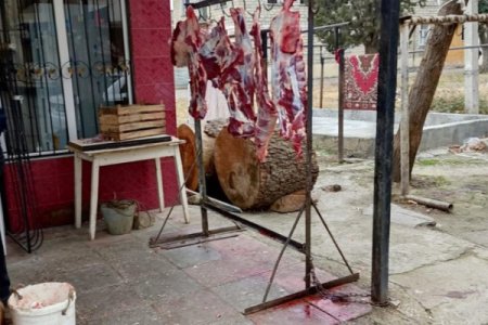 9 heyvan kəsimi və ət satışı məntəqəsində nöqsanlar aşkarlandı