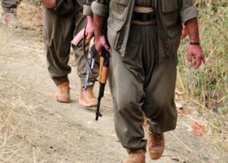 2 PKK terrorçusu Türkiyə hərbçilərinə təslim oldu