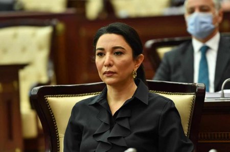 Ombudsman səfirliyimizə hücumla bağlı bəyanat yaydı