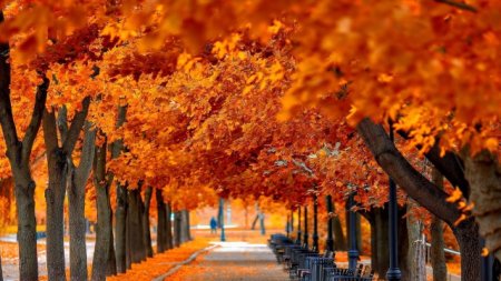 Azərbaycana payız fəsli daxil olub