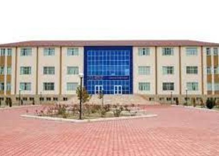 Naxçıvan Dövlət Universitetində yoxlama aparıldı