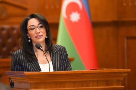Ombudsman Qubadlı və Zəngilanda insan qalıqlarının aşkar olunmasından DANIŞDI