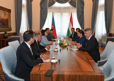 Sahibə Qafarova Macarıstan Prezidenti ilə görüşdü