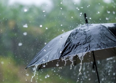 Bazar gününə olan hava proqnozu