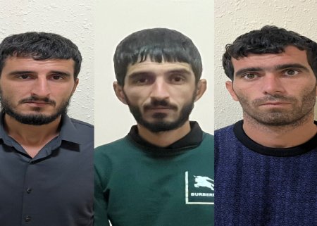 Silsilə oğurluqlar edən dəstə üzvləri saxlanılıblar