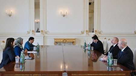 Prezident BMT-nin Məskunlaşma Proqramının icraçı direktorunu qəbul etdi
