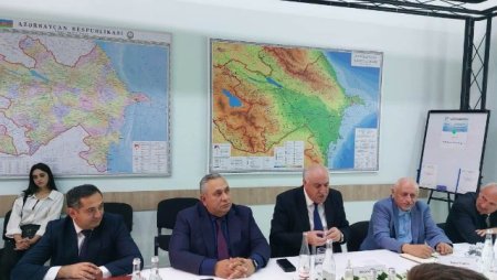 200-dən artıq qurumuş və qəzalı ağacın götürülməsinə dair ictimai dinləmə oldu