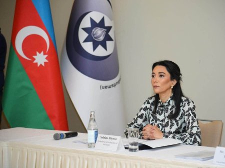 Ombudsman Ermənistanın mina terrorunu PİSLƏDİ