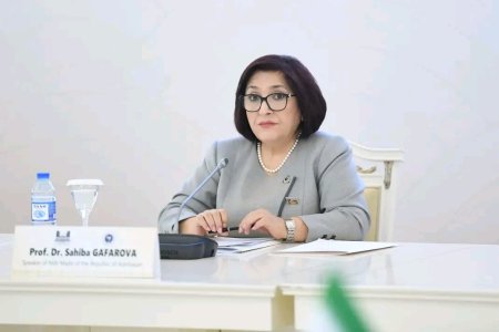 Sahibə Qafarova ÇIXIŞ NİTQİ