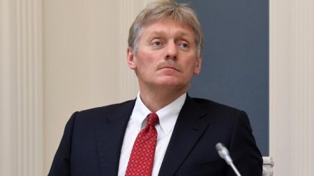 "Bizdə yalnız bir Putin var" - Peskov