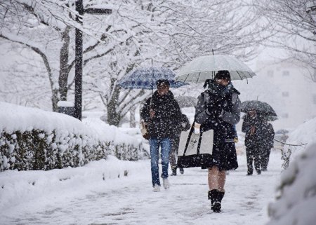 Qar yağacaq, yollar buz bağlayacaq - SABAHIN HAVASI