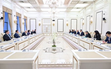Spiker Özbəkistan parlamenti sədrinin birinci müavini ilə görüşdü