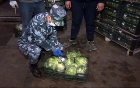 Ölkəyə kahı formasında külli miqdarda narkotik keçirmək istədilər