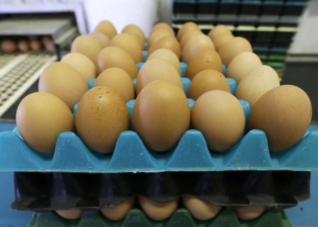 Azərbaycan Rusiyaya milyonlarla yumurta GÖNDƏRDİ