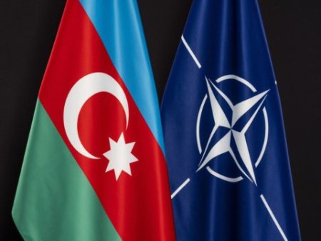 NATO siyasətçiləri Azərbaycanı TƏBRİK ETDİ