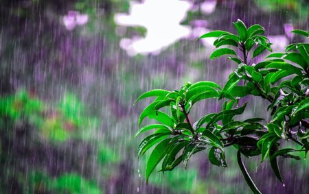 Yağış yağıb, leysan olub - Faktiki hava