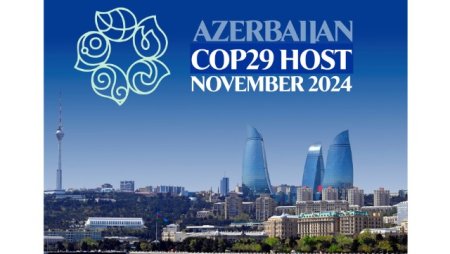 COP29-un prezidenti iştirakçı ölkələrin hökumətlərinə rəsmi məktub göndərdi