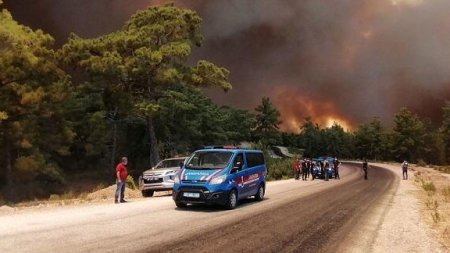 Türkiyədə meşə yanğını başlayıb